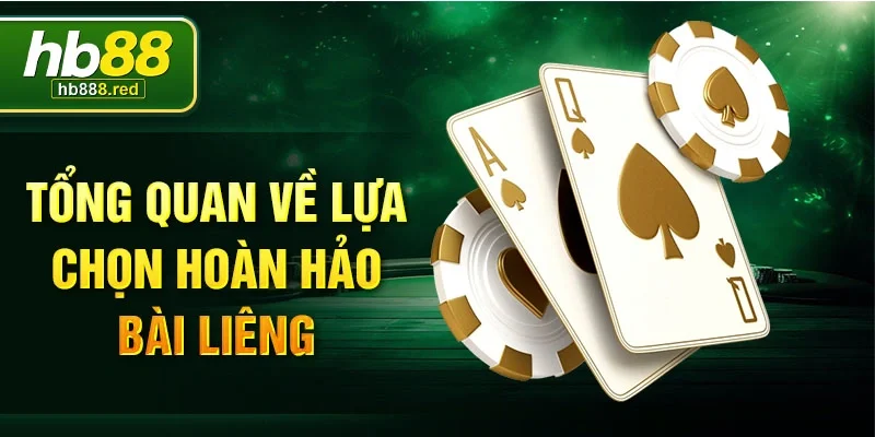 Tổng quan về lựa chọn hoàn hảo bài Liêng